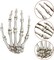 2 Pack Halloween Skeleton Hands Realistic Life Size Severed Plastic Skeleton Hands for Halloween Themed Party Decoration Props(Right & Left)